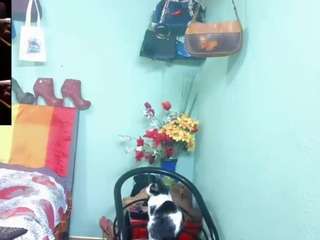 ximenamoreira