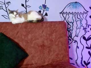 gaiah77 live webcam show