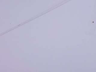 grecesam
