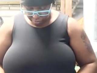 virgovixengal