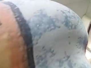 virgovixengal