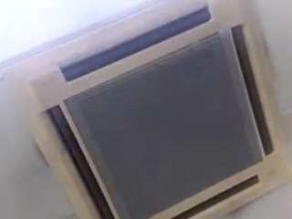 virgovixengal