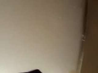 virgovixengal