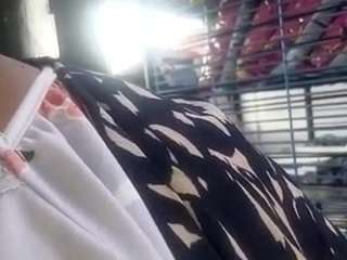 virgovixengal
