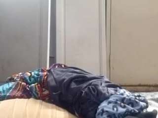virgovixengal