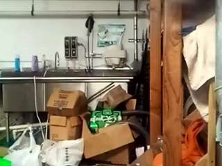 virgovixengal