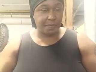 virgovixengal
