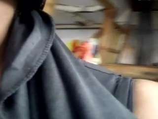virgovixengal