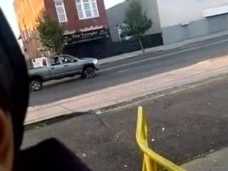 virgovixengal