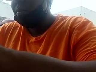 virgovixengal