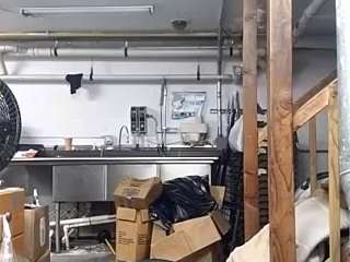 virgovixengal webcam