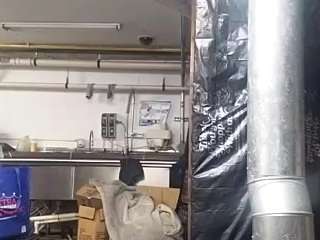 virgovixengal webcam