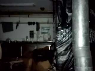 virgovixengal live cam profile