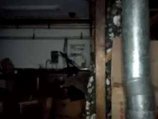 virgovixengal