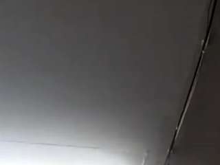 virgovixengal