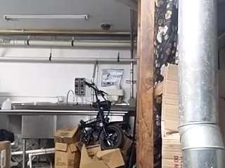 virgovixengal