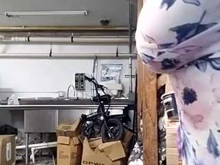 virgovixengal