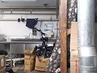 virgovixengal
