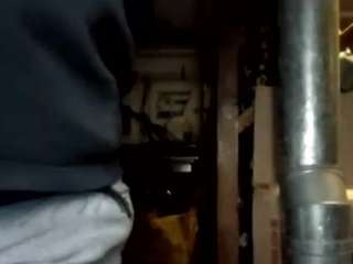 virgovixengal