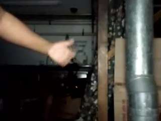 virgovixengal