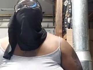 virgovixengal