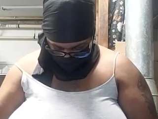 virgovixengal