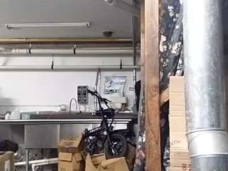 virgovixengal