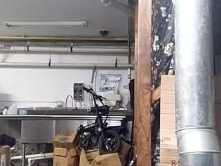 virgovixengal