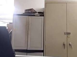 virgovixengal