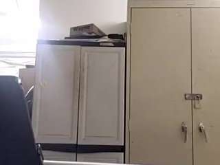 virgovixengal
