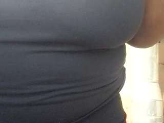 virgovixengal