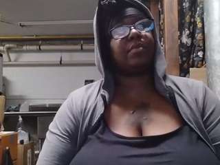 virgovixengal