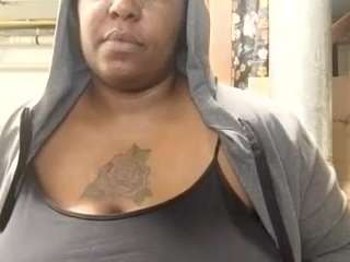 virgovixengal