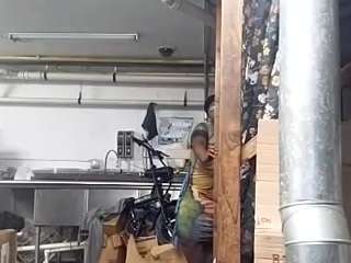 virgovixengal