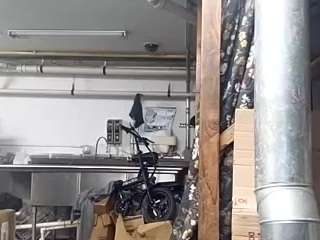 virgovixengal