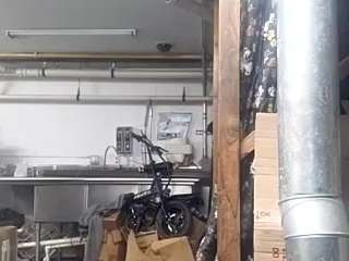 virgovixengal
