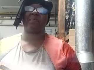 virgovixengal