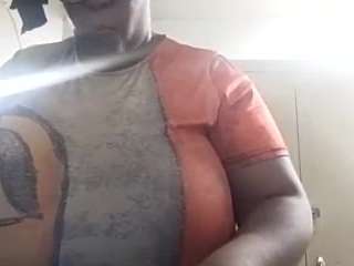 virgovixengal