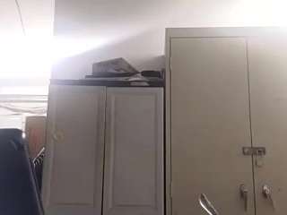 virgovixengal