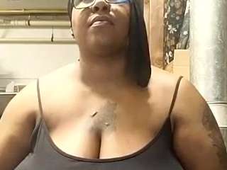 virgovixengal