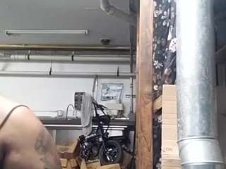 virgovixengal