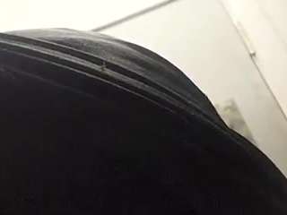 virgovixengal