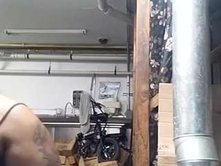 virgovixengal