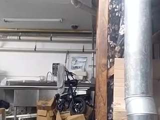 virgovixengal