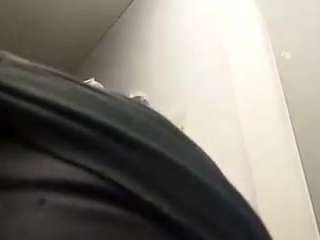 virgovixengal