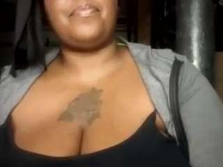 virgovixengal