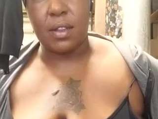 virgovixengal