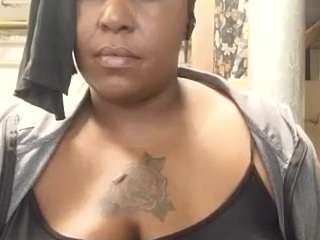 virgovixengal
