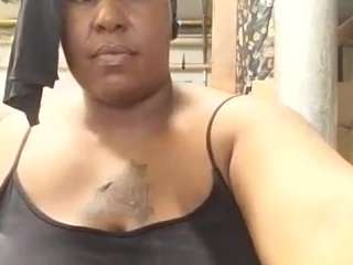 virgovixengal