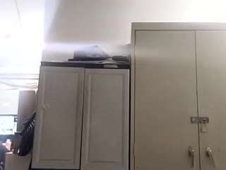virgovixengal